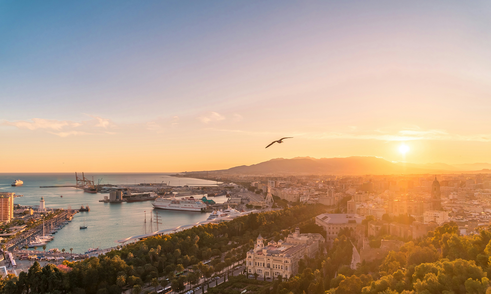 Beautiful vineyards along scenic wine routes in Spain, showcasing the country's rich wine culture and gastronomy.