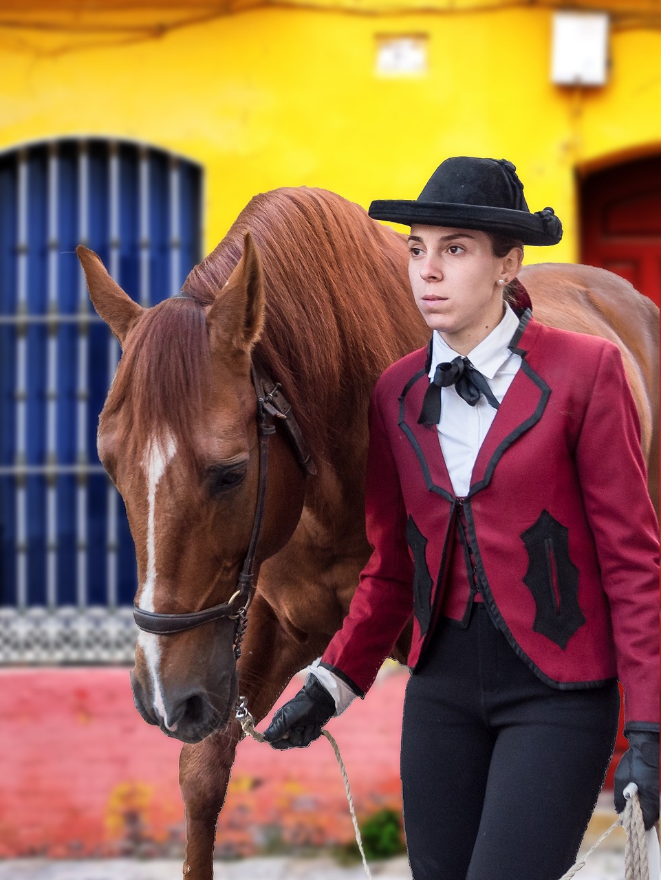 An Andalusian horse performing a dressage routine at the Royal Stables of Córdoba